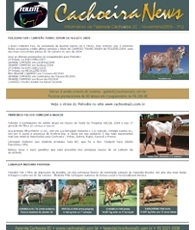cachoeira news