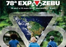 CACHOEIRA 2C REALIZA SUA MELHOR PARTICIPAÇÃO NA EXPOZEBU