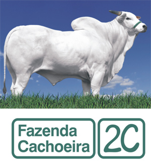 TOUROS 2C SÃO DESTAQUE EM AVALIAÇÃO POR DNA 