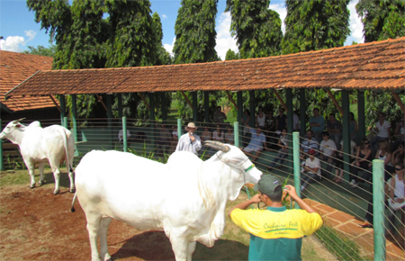 EQUIPE PROGRAMA LEILÕES EM VISITA À CACHOEIRA
