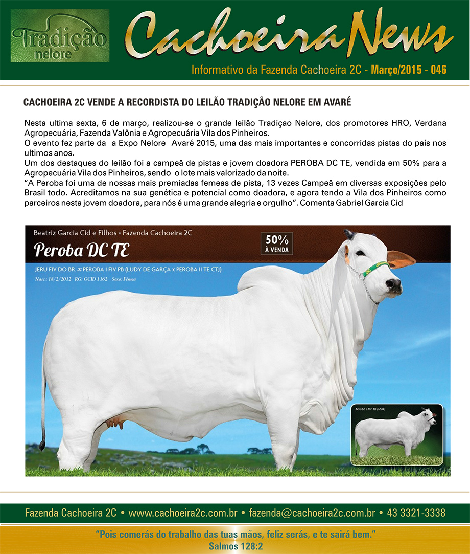 cachoeira news