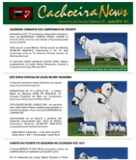 cachoeira news