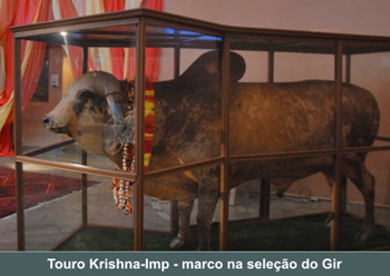 CINQUENTENÁRIO É COMEMORADO NO CACHOEIRA FEST 