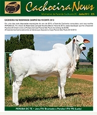 cachoeira news