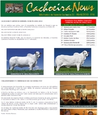 cachoeira news
