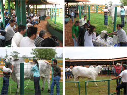 DIA DE CAMPO