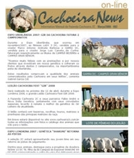 cachoeira news