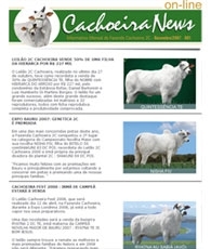 cachoeira news