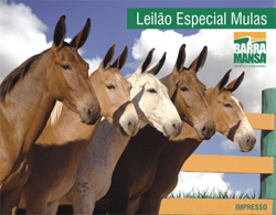 LEILÃO ESPECIAL DE MULAS
