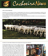 cachoeira news